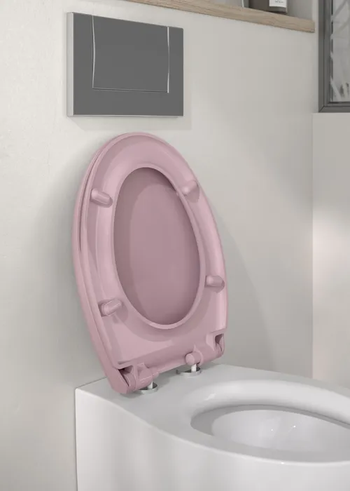  Toilet seat