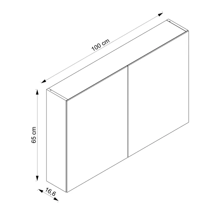  Spiegelschrank 100 cm
