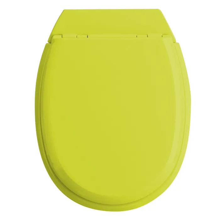  Toilet seat